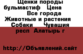 Щенки породы бульмастиф › Цена ­ 25 000 - Все города Животные и растения » Собаки   . Чувашия респ.,Алатырь г.